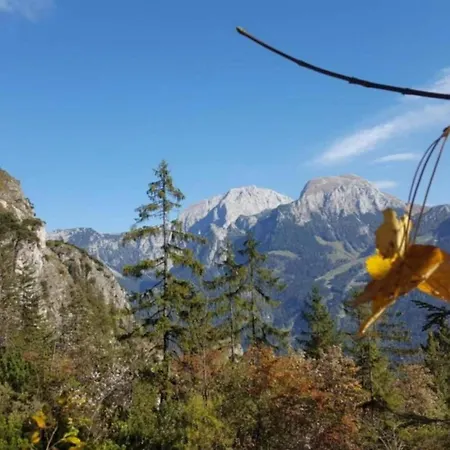 شقة In Sch Nau Am K Nigsee In Location Schönau am Königssee